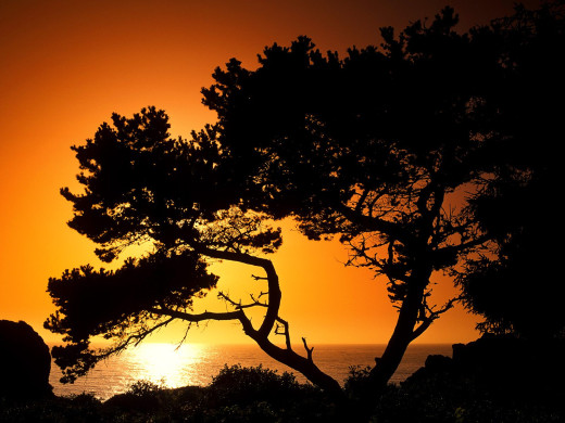 24285 (a): :1600x1200